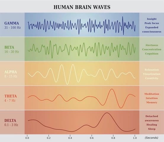 Brain Waves Brain Waves