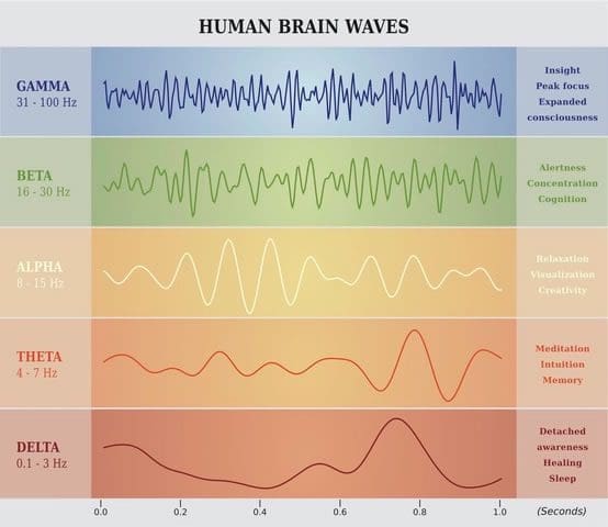 Brain Waves